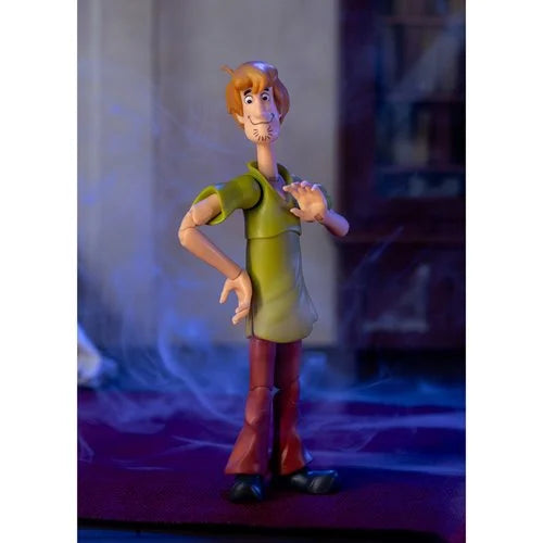 Scooby-Doo! Wave 1 Shaggy 1:12 Scale Action Figure
