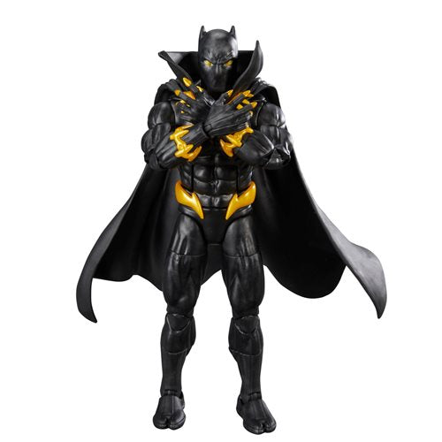 Marvel Legends Series Black Panther 6-Inch Action Figure (ETA FEBRUARY/MARCH 2024)