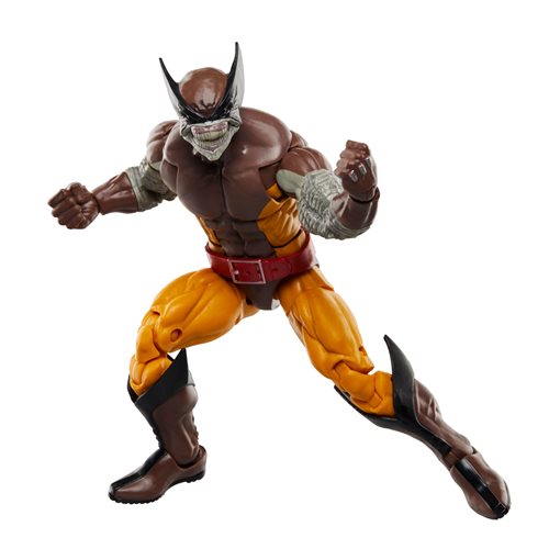 Wolverine 50th Anniversary Marvel Legends Wolverine and Lilandra Neramani 6-Inch Action Figure 2-Pack (ETA APRIL / MAY 2024)